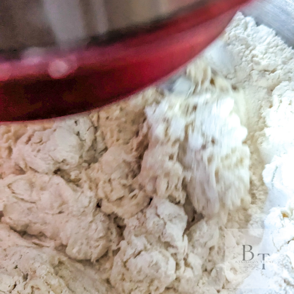 homemade pizza dough