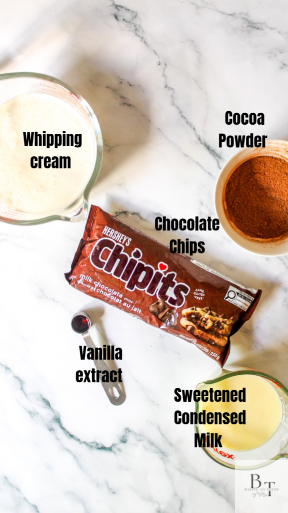 Homemade Chocolate Ice Cream - ingredients