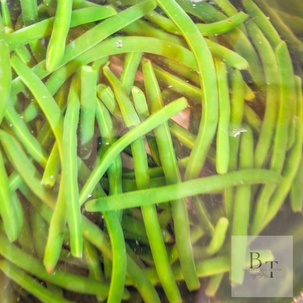 Easy Sautéed Green Beans - dumped in ice 